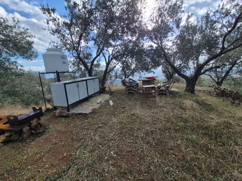 Edremit Ortaoba Mah`daZeytinlik. - 8